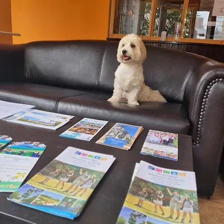 Hajós Apartmans Apartman *